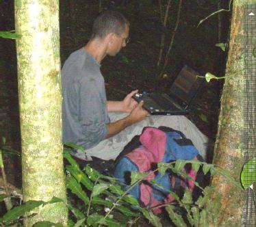 Auswertung der Loggerdaten in Kenia