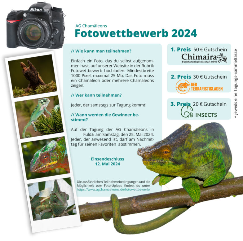 (Deutsch) Fotowettbewerb 2024