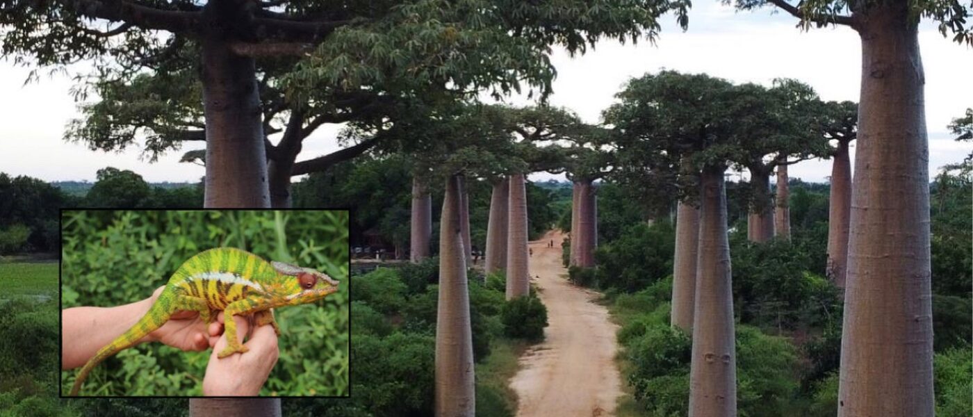 Presentation in Leipzig about Madagascar