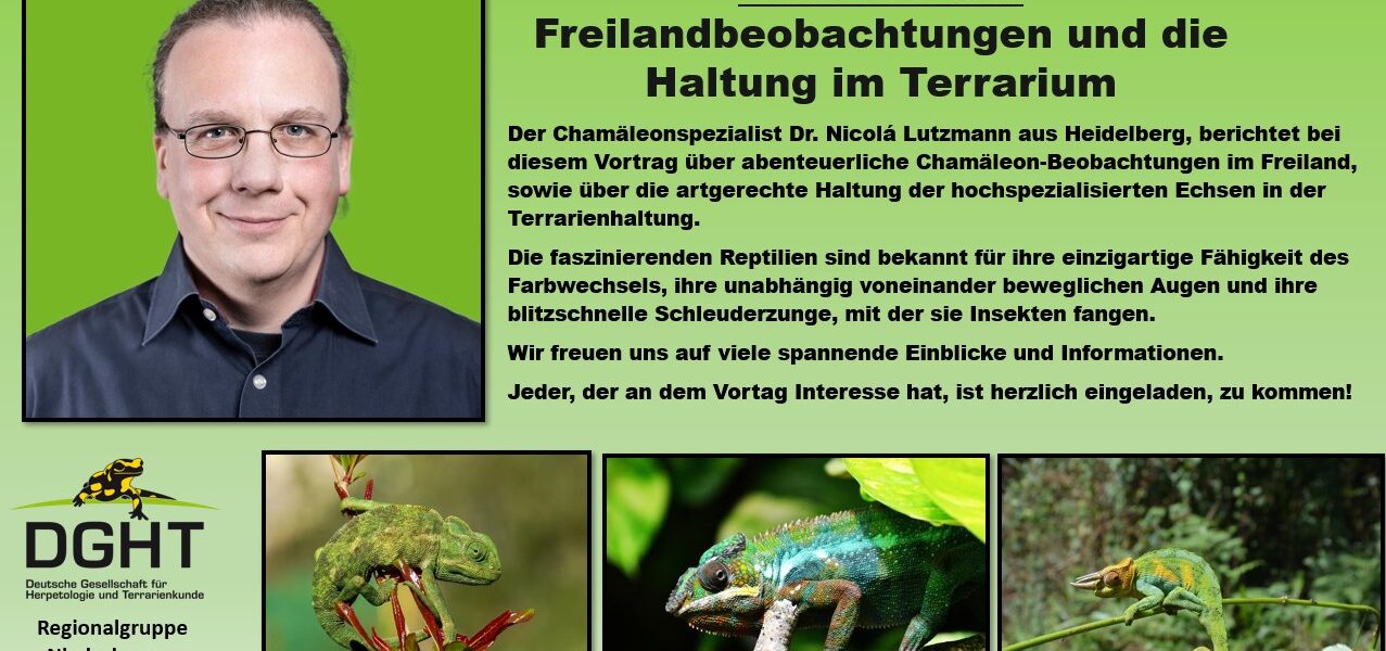 Presentation in Bavaria about chameleons