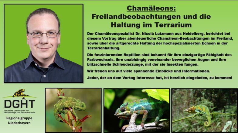 Vortrag in Dingolfing über Chamäleons