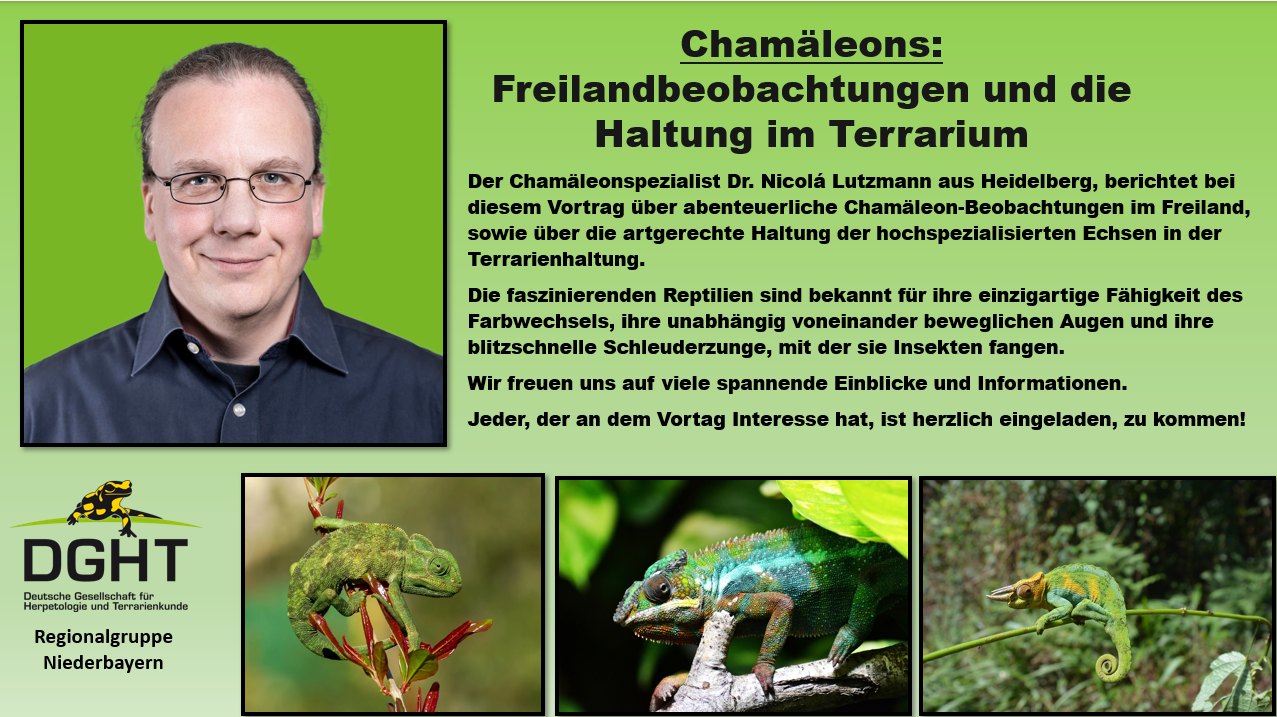 Presentation in Bavaria about chameleons