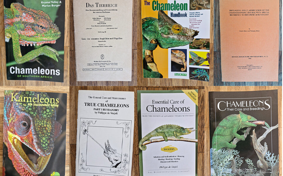 Chameleon literature available