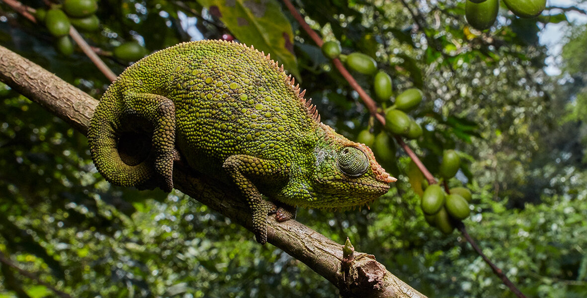 Vortrag in Frankfurt über Äthiopien