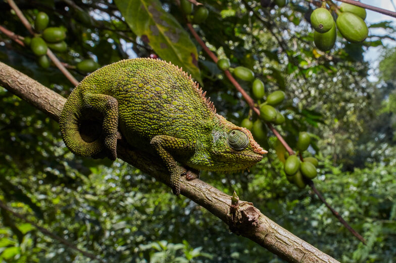 Vortrag in Frankfurt über Äthiopien