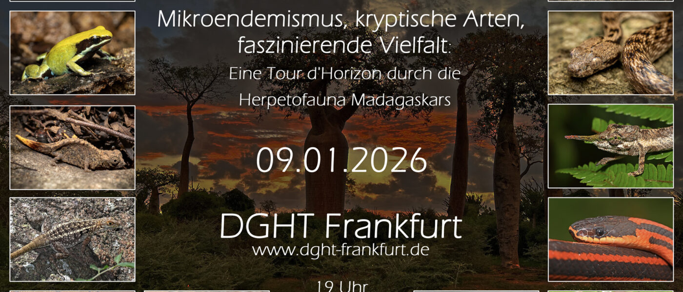 Vortrag in Frankfurt über Madagaskar