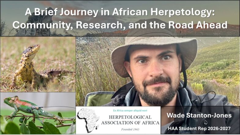 Webinar about herpetology in South Africa