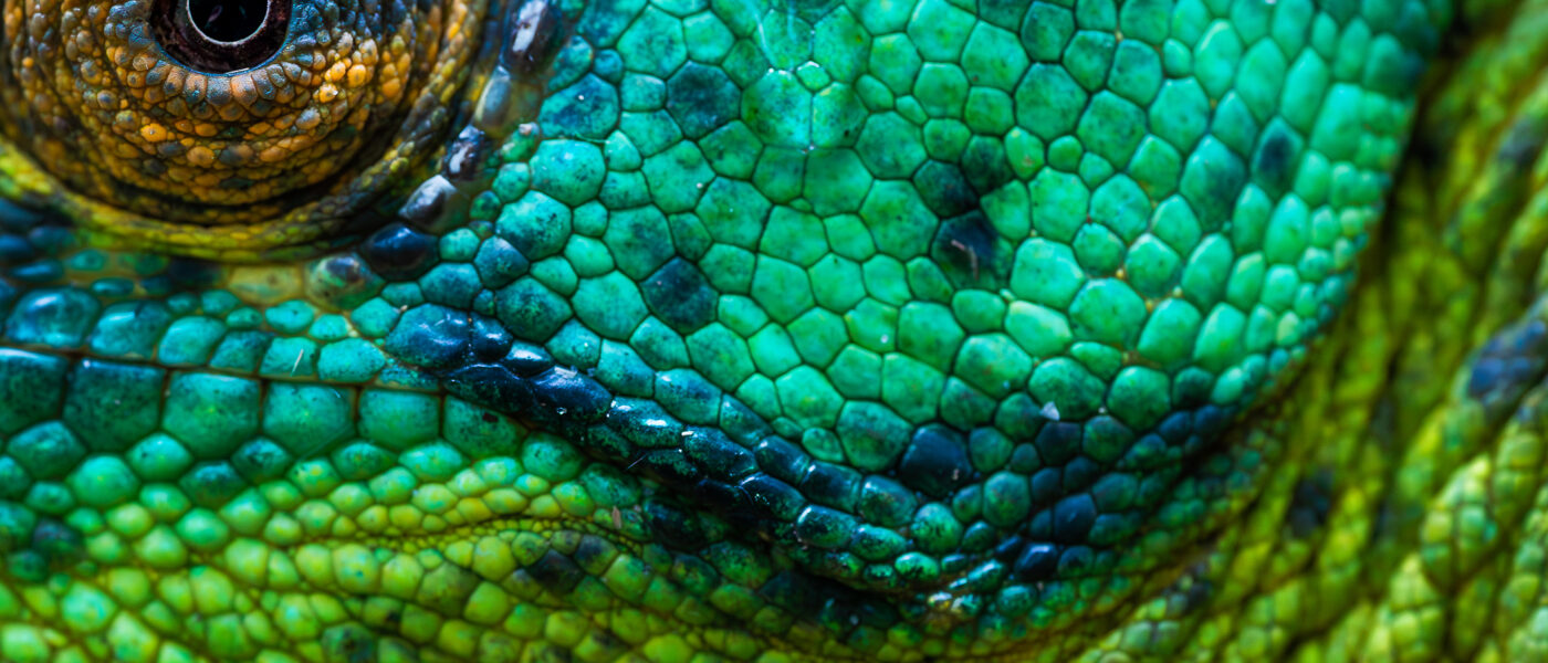 Vortrag in Landau über Madagaskar