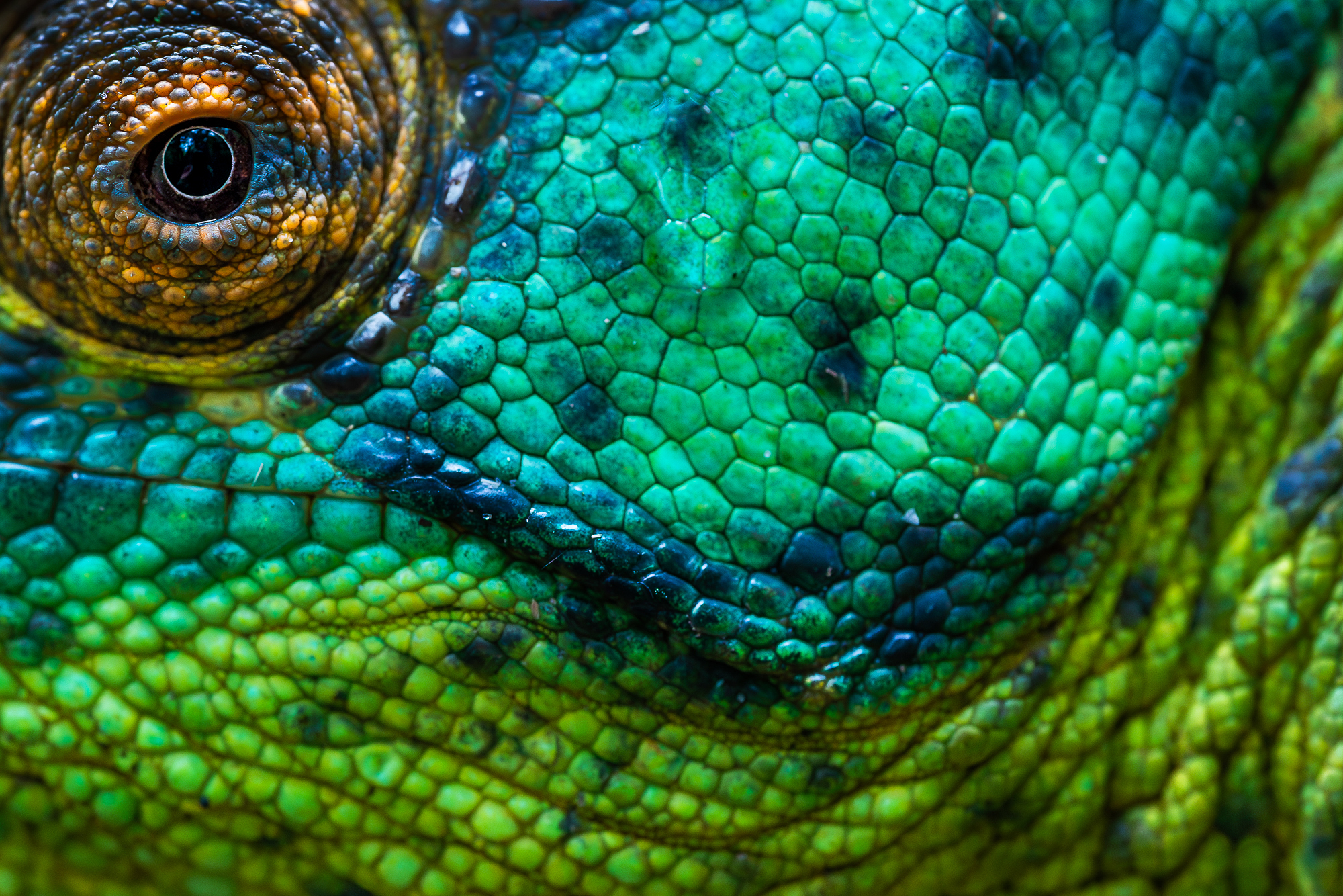 Presentation in Landau about Madagascar Presentation in Landau about Madagascar