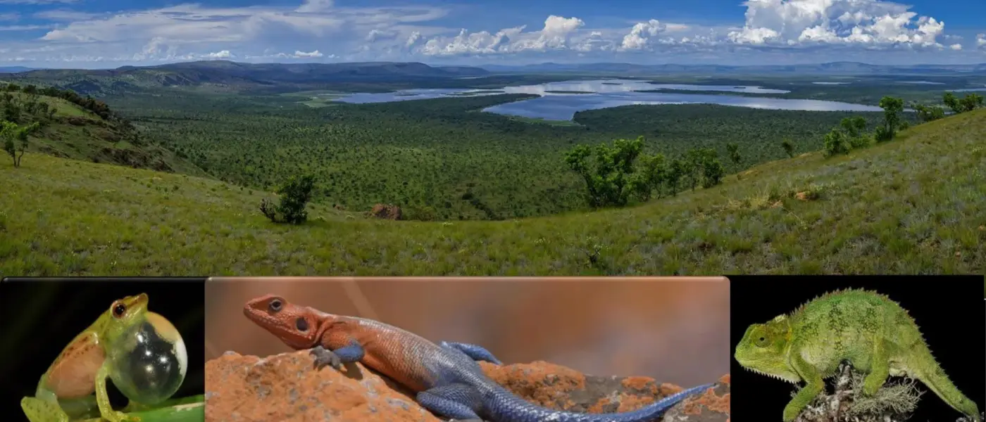 Vortrag in Landau über Ruanda