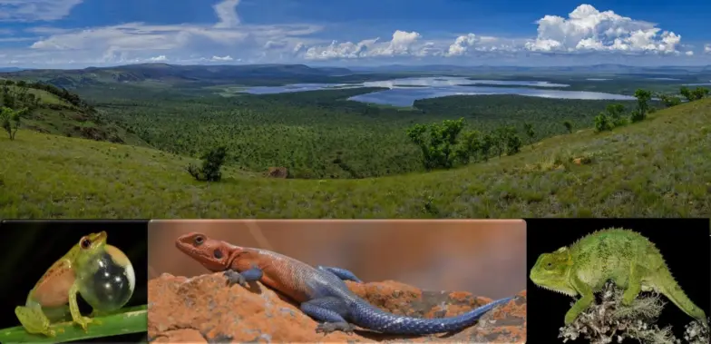 Vortrag in Landau über Ruanda