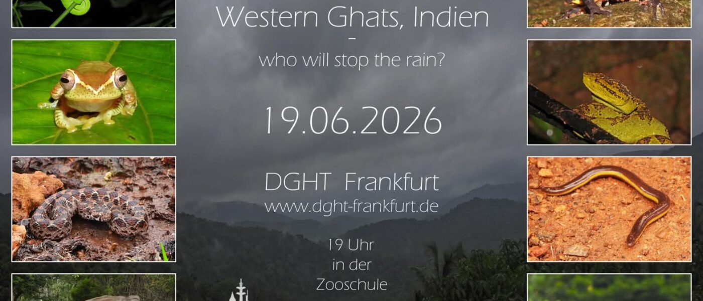 Vortrag in Frankfurt über Indien