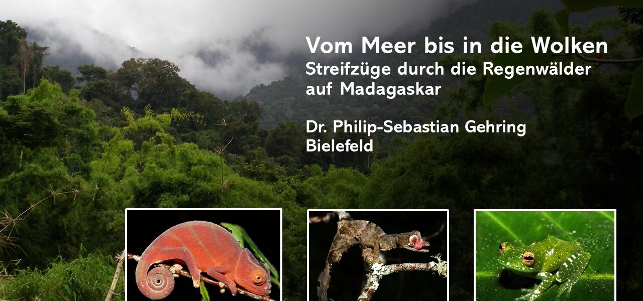 Vortrag in Hamburg über Madagaskar