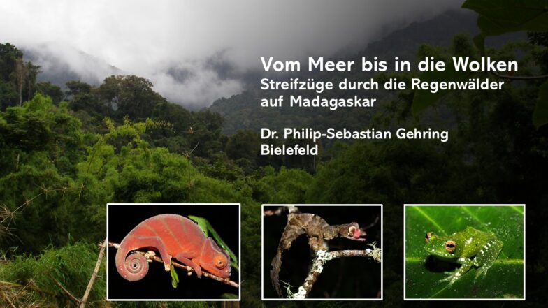 Vortrag in Hamburg über Madagaskar